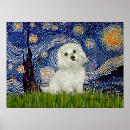 Maltesisch 11 - Starry Night Poster (Vorne)