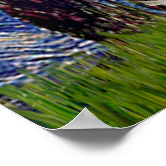 Maltesisch 11 - Starry Night Poster (Ecke)