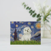 Maltesisch 11 - Starry Night Postkarte (Stehend Vorderseite)