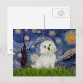 Maltesisch 11 - Starry Night Postkarte (Vorne/Hinten)