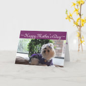 Maltesisch 2 Geschenke Karte (Gelbe Blume)