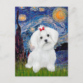 Maltesisch 8 pup - Starry Night Postkarte (Vorderseite)