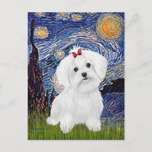 Maltesisch 8 pup - Starry Night Postkarte (Vorderseite)