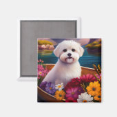 Maltesisch auf dem Paddle: Ein Landschaftliches Ab Magnet (Vorderseite/Rückseite)