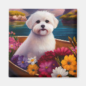 Maltesisch auf dem Paddle: Ein Landschaftliches Ab Magnet (Vorne)