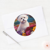 Maltesisch auf dem Paddle: Ein Landschaftliches Ab Runder Aufkleber (Umschlag)