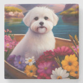 Maltesisch auf dem Paddle: Ein Landschaftliches Ab Steinuntersetzer (Vorderseite)