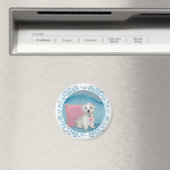 Maltesisch auf Türkis Magnet (In Situ (Geschirrspüler))