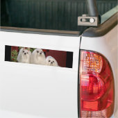 Maltesisch Autoaufkleber (Auf Lkw)