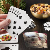 Maltesisch bei Spielkarten (In Situ)