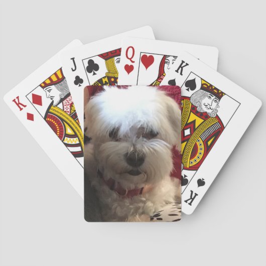 Maltesisch bei Spielkarten (Rückseite)