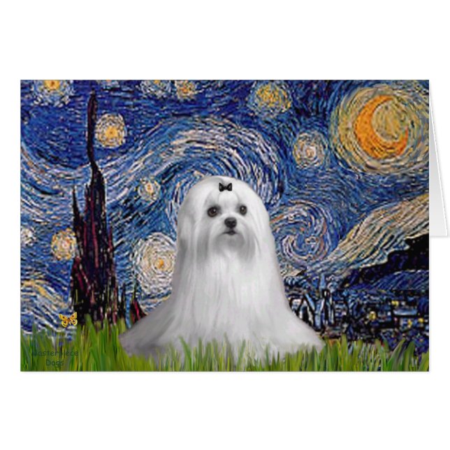 Maltesisch (C) - Starry Night (Vorderseite (Horizontal))