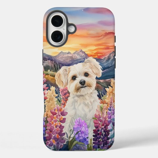 Maltesisch - Fall mit hartem Telefon Case-Mate iPhone Hülle (Rückseite)