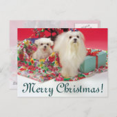 Maltesisch Frohe Weihnachten (Vorne/Hinten)