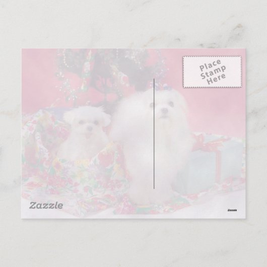 Maltesisch Frohe Weihnachten (Rückseite)