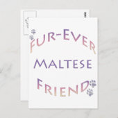 Maltesisch Furever Postkarte (Vorne/Hinten)