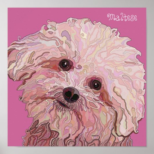 Maltesisch in dazzling Colors Poster (Vorne)
