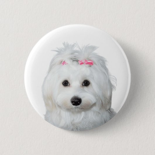 Maltesisch in White Adorable Puppy Wonder Button (Vorderseite)