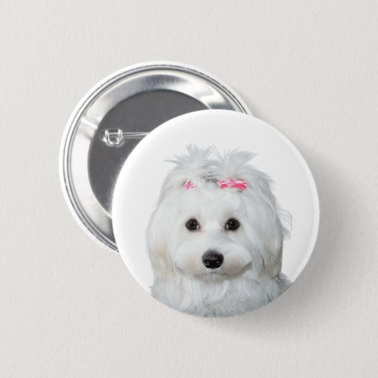 Maltesisch in White Adorable Puppy Wonder Button (Vorne & Hinten)