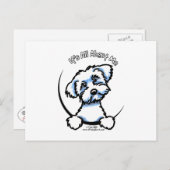 Maltesisch ist alles über mich postkarte (Vorne/Hinten)