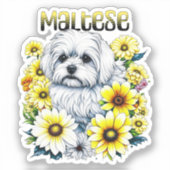 Maltesisch klein: Weiße Hundebraue in gelben Blume Aufkleber (Vorderseite)