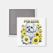 Maltesisch klein: Weiße Hundebraue in gelben Blume Magnet (Vorderseite/Rückseite)