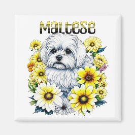 Maltesisch klein: Weiße Hundebraue in gelben Blume Magnet