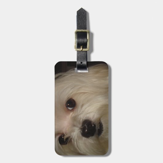 Maltesisch mit Red Bow Gepäckanhänger (Vorderseite vertikal)