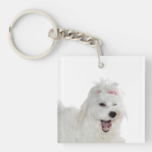Maltesisch Niedlich Fluffy White Lili Schlüsselanhänger (Vorderseite)