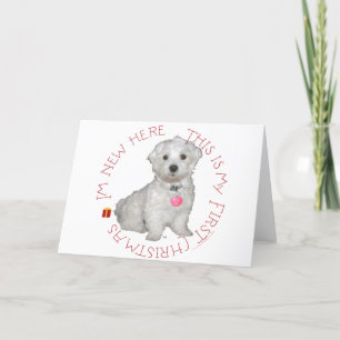 Maltesisch Pup First Christmas Feiertagskarte