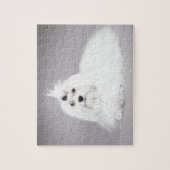 maltesisch puzzle (Vertikal)