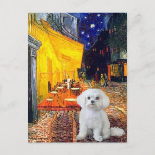 Maltesisch (R) - Terrassencafé Postkarte