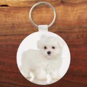 maltesisch schlüsselanhänger (Vorderseite)