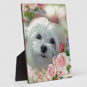 Maltesisch schneebedecken fotoplatte (Seite)