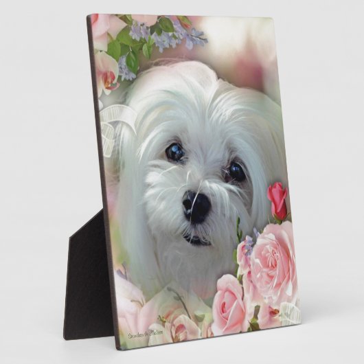 Maltesisch schneebedecken fotoplatte (Seite)