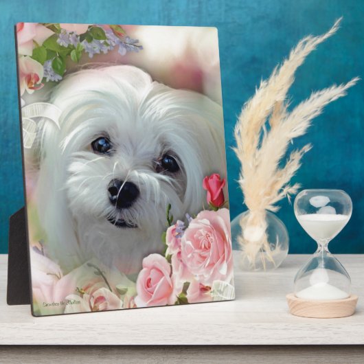 Maltesisch schneebedecken fotoplatte (Seite)