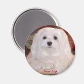 Maltesisch schneebedecken magnet (Vorderseite/Rückseite)