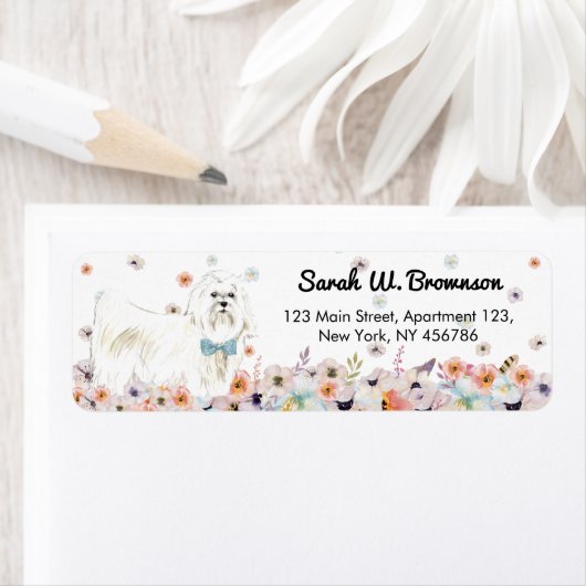 Maltesisch Sleeve white Dog bowtie (Insitu)