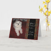 Maltesisch 'Thinking with You with Liebe' Spaß Car Karte (Gelbe Blume)