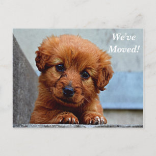 Maltesisch Wir haben eine neue Postkarte
