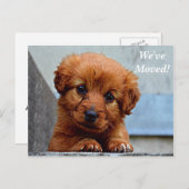 Maltesisch Wir haben eine neue Postkarte (Vorne/Hinten)