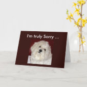 Maltesische Beileids-Karte für irgendeine Karte (Gelbe Blume)