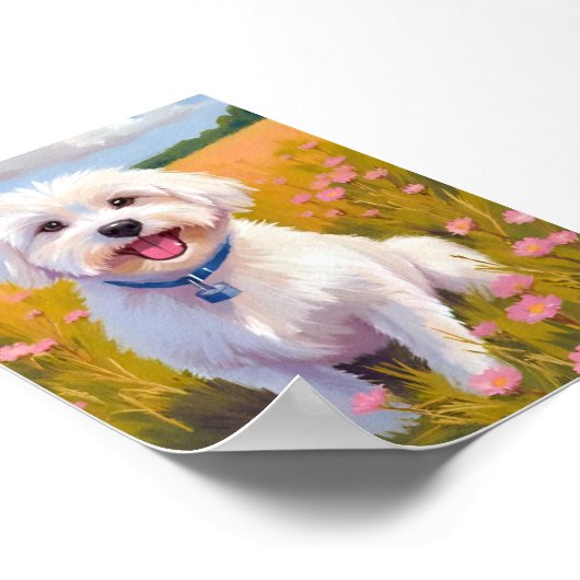 Maltesische Blume Poster (Ecke)