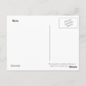 maltesische Buspostkarte Postkarte (Rückseite)