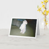 Maltesische glückliche der Vatertags-Karte Karte (Gelbe Blume)