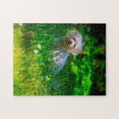 Maltesische Hundezucht. Puzzle (Horizontal)