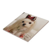 Maltesische Keramik Fliese (Seite)