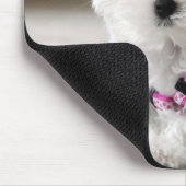 Maltesische Liebe Mousepad (Ecke)