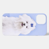 Maltesische Malerei - Niedliche Originalkunst des  iPhone Hülle (Rückseite (Horizontal))