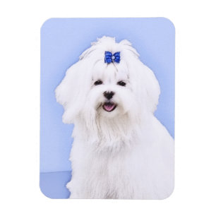 Maltesische Malerei - Niedliche Originalkunst des  Magnet